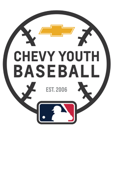 Youth Baseball and Softball